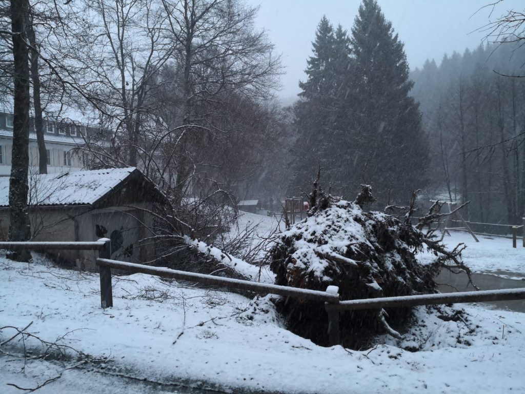 Sturmschaden Schullandheim Winterberg